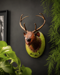 The Viridian Stag Metal Wall Curio